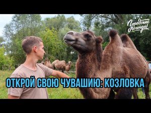 Открой свою Чувашию Козловка 2023