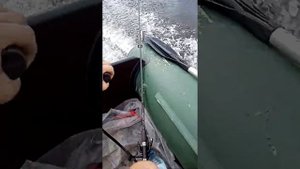 Езда на лодке с мотором