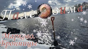 Палеозима. Марково. Окаменелости.