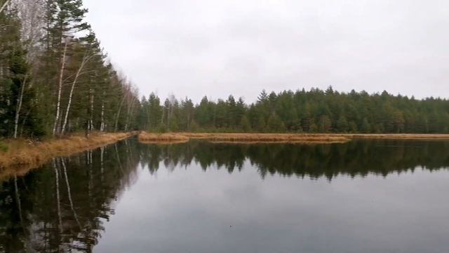 20 ноября 2023 г. смотреть онлайн