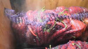 Бочковые острые перцы / Копчение овощей /   ДЫМОГЕНЕРАТОР KOPTIL холодного копчения