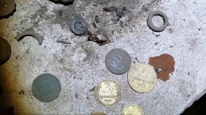 Коп монет в Смоленской области