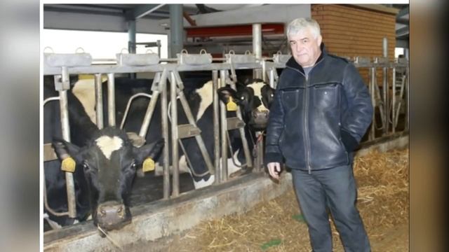 Дневник очень многодетного папы, или хроники пассивного трутня. смотреть онлайн