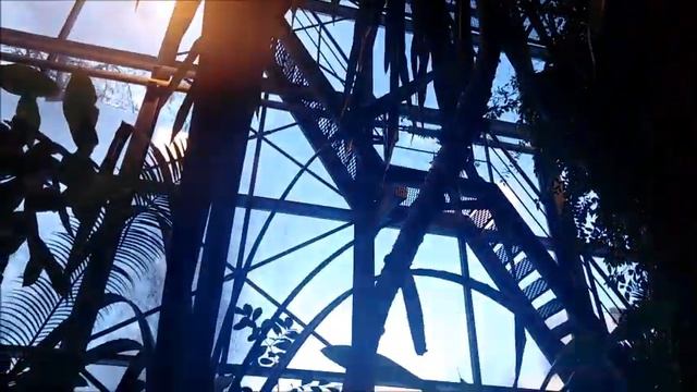 Москва. Аптекарский огород (оранжерея) смотреть онлайн