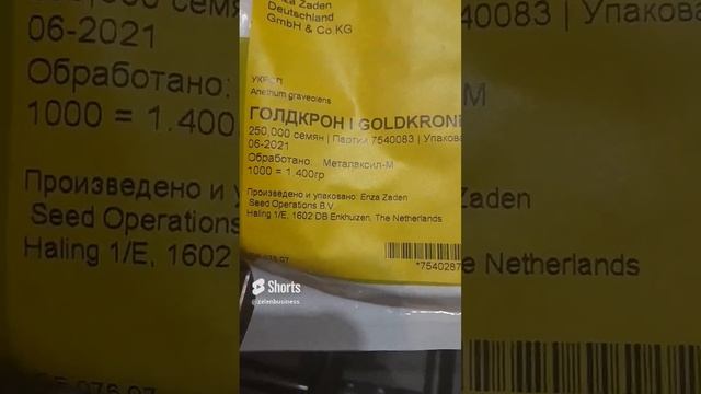 Укроп на продажу. Новые сорта на этот сезон