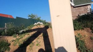 Навес, беседка 5 на 4м своими руками (день 3): установка верхней обвязки на столбы