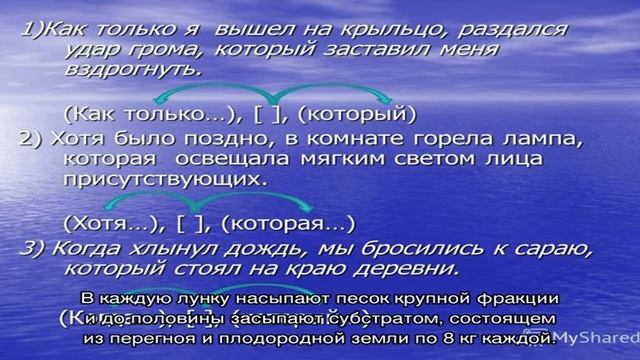 Доступная экзотика для ваших садов — ягода годжи смотреть онлайн