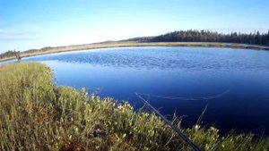 Карелия. Лето. Рыбалка в любимых местах. Проверяем новую ламбину.