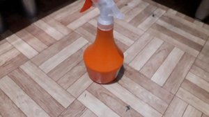 Как бороться с клопами в квартире эффективные методы