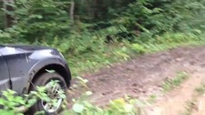 Бездорожье на Mitsubishi Pajero 4??