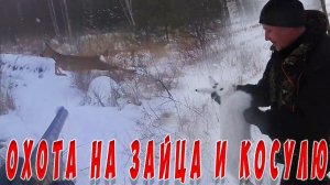 Охота на зайца косулю. Закрытие сезона