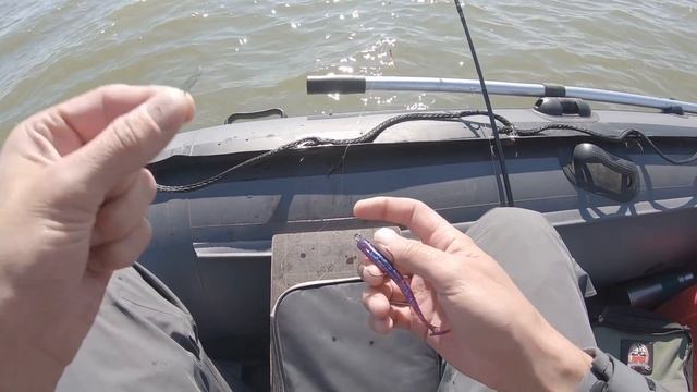 Первые ТРОФЕИ лета. Ловля на водохранилище судака и окуня на джиг смотреть онлайн