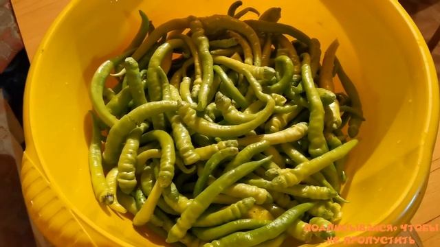 Классный Рецепт Соленый, Острый Перец По Армянски. Цицак. "Мое Подворье"