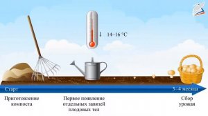 Технологии промышленного производства культивируемых грибов