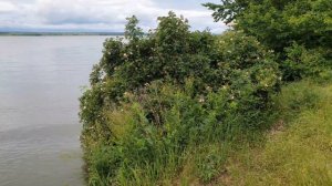 Миусский Лиман