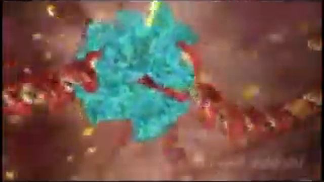 ДНК. смотреть онлайн