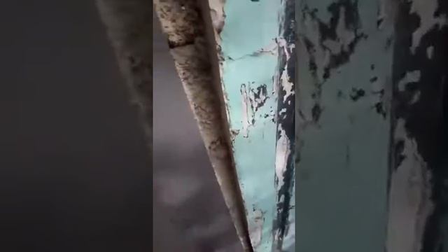 стяжка дома покраска металла смотреть онлайн