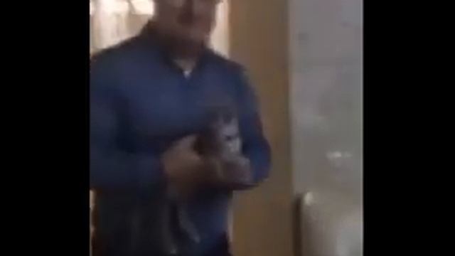 Дед и кот на гироскутере смотреть онлайн