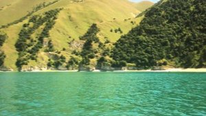 Видео ролик Родина моя Чечня! АМАР-ТВ.