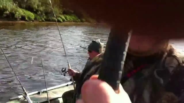 Рыбалка на Ловати смотреть онлайн