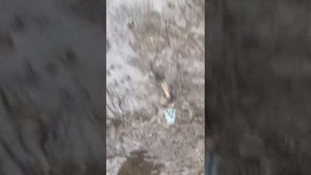 Гонка бумажных корабликов на ручейке. смотреть онлайн