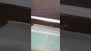 Дверь Гардиан это провал