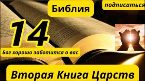 вторые книги царей 14