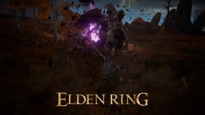 ЗАЧИЩАЕМ ОКРЕСНОСТИ ЗАМКА ► : ELDEN RING #28