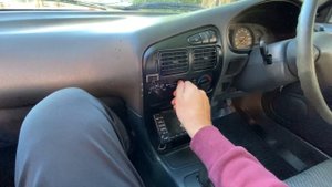 Мечта пчеловода Mitsubishi Libero