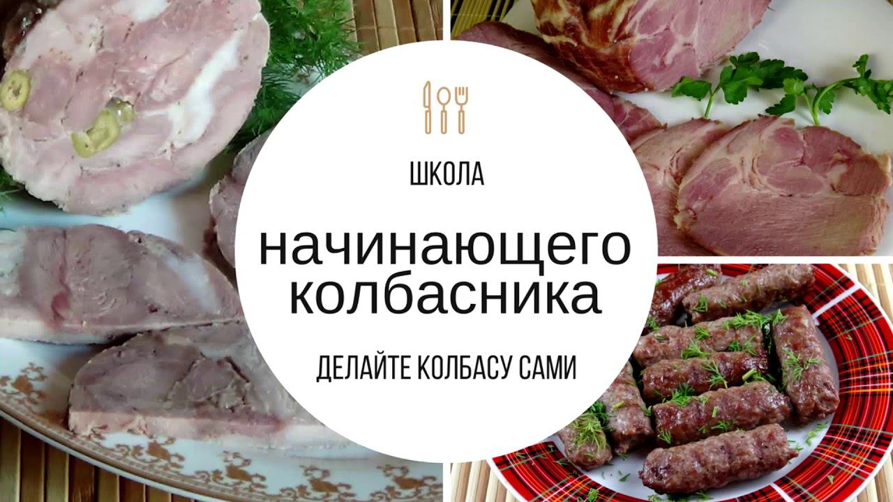 Школа начинающего колбасника смотреть онлайн