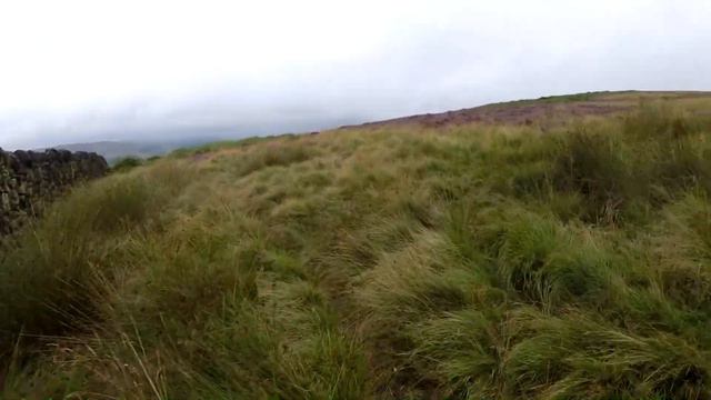 Пчеловодство в Англии. Пчелы не вереске. Ч3 смотреть онлайн