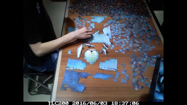Schmidt puzzle 1000pcs time lapse ~ Blue echeveria смотреть онлайн