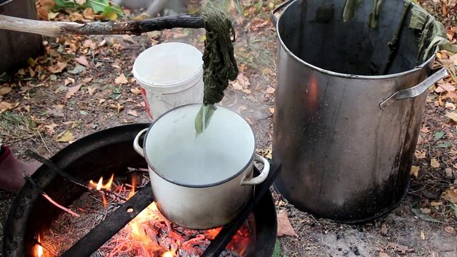 Крашение натуральными красителями. Крапива