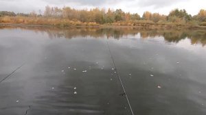 Jackall Tiny Magallon ЛОВИТ ЩУК ОСЕНЬЮ! РЫБАЛКА НА СПИННИНГ