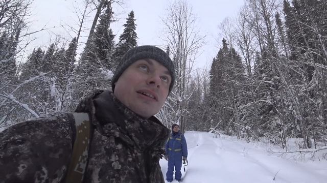 УШЛИ В ТАЙГУ... Часть 1. смотреть онлайн