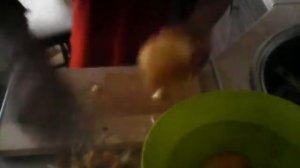 DIY-как сделать фруто-няню.