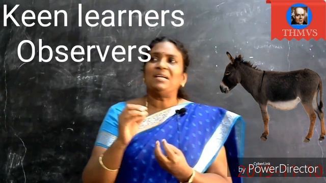 #THMVS #Mammals #Lac Assinum #Homoeopathy in Tamil смотреть онлайн