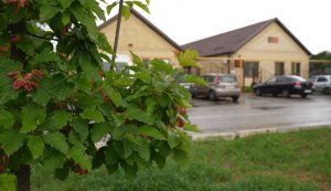 Учителя золотого возраста