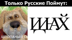 Поймут только гении: