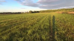 Пожалуй лучшая охота на дупеля 2020