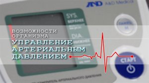 Сознательная регуляция артериального давления. Возможности организма. ЧАСТЬ 1