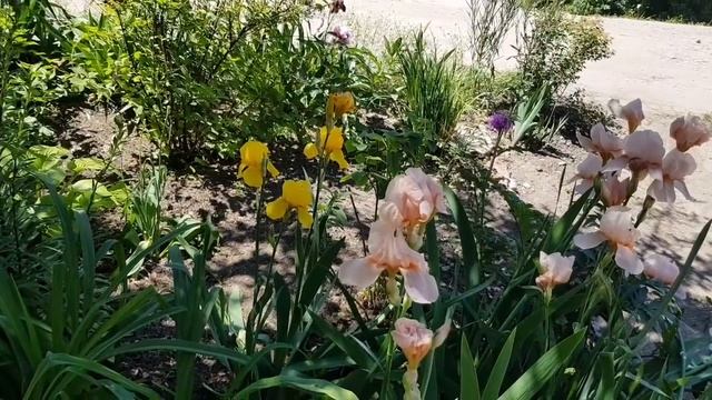 Обзор номеров под сдачу отдыхающим, у наших соседей)) Покупки с Али, обзор?1 часть... смотреть онлайн