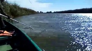 Астраханская рыбалка на базе отдыха Капитан!