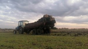 вносим органику, прт 7 навозоразбрасыватель