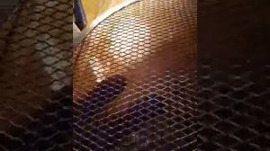 сетки для пиццы, пирогов, выпечки AlexBrand AB