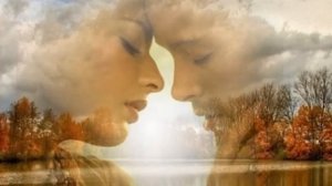 Желтые листья