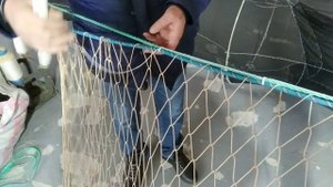 Посадка сетного полотна способом " НА ШНУР "