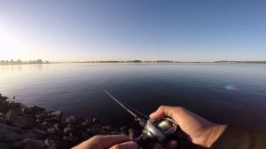 OG Krocodile Spoon! -- San Diego Bay