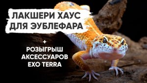 Лакшери Хаус для Эублефара