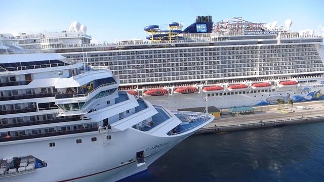 MSC divina, Carnival Conquest, Norwegian NCL Espace, and someone else смотреть онлайн